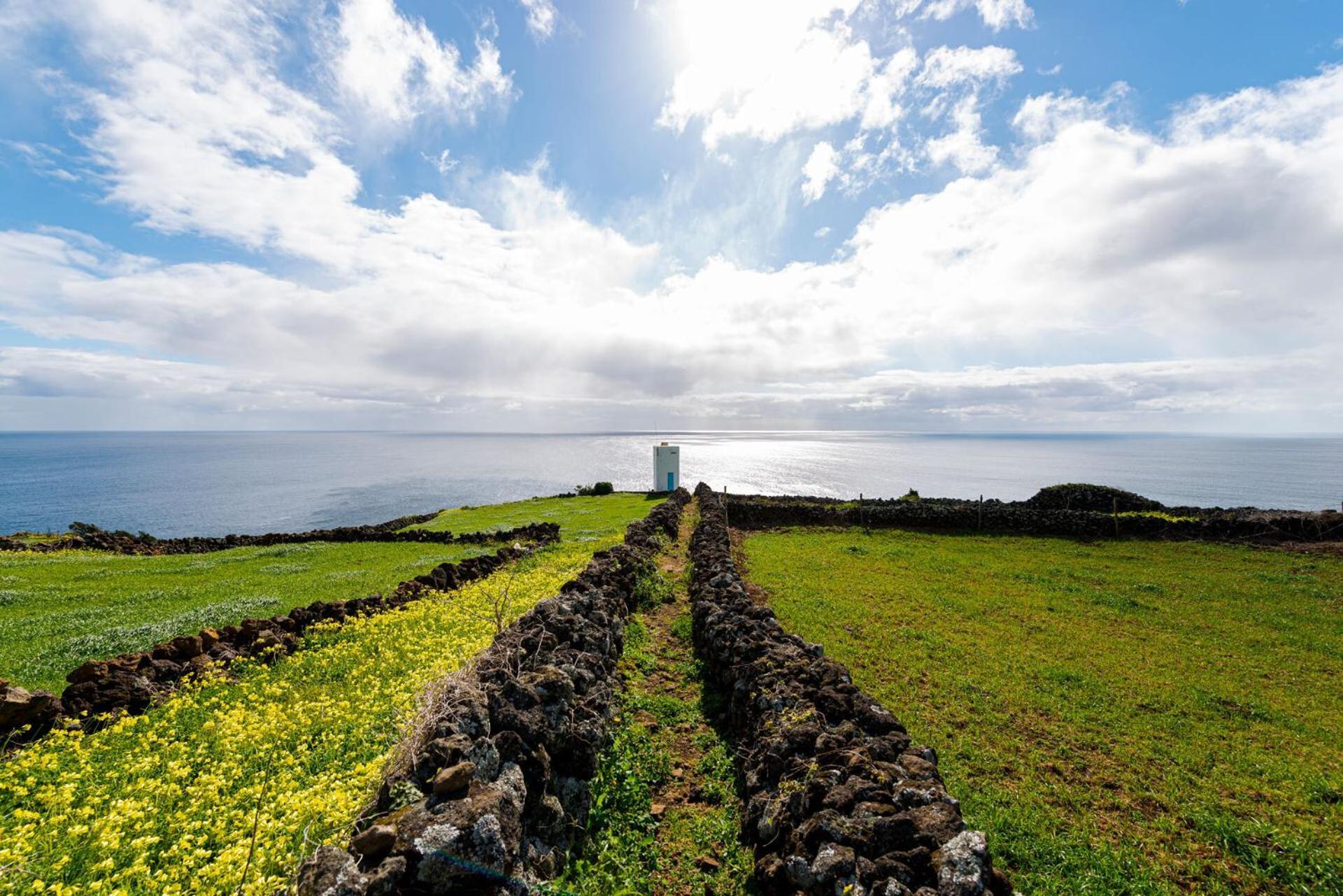 Engenho Hostel Lajes do Pico Dış mekan fotoğraf